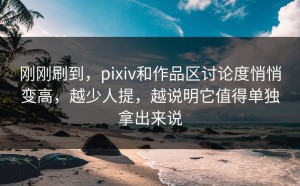 刚刚刷到，pixiv和作品区讨论度悄悄变高，越少人提，越说明它值得单独拿出来说