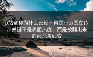 p站全称为什么已经不再是小范围在传，关键不是表面热度，而是被翻出来的那几条线索