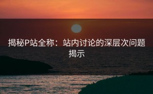 揭秘P站全称：站内讨论的深层次问题揭示