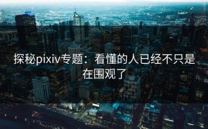 探秘pixiv专题：看懂的人已经不只是在围观了