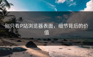 别只看P站浏览器表面，细节背后的价值