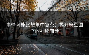 事情可能比想象中复杂：揭开麻豆国产的神秘面纱