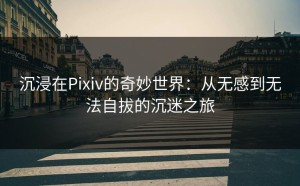 沉浸在Pixiv的奇妙世界：从无感到无法自拔的沉迷之旅