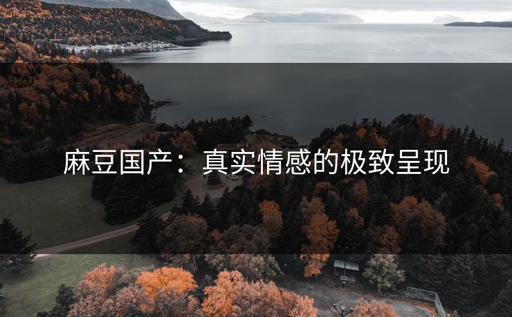麻豆国产:真实情感的极致呈现 麻豆国产:真实情感的极致呈现